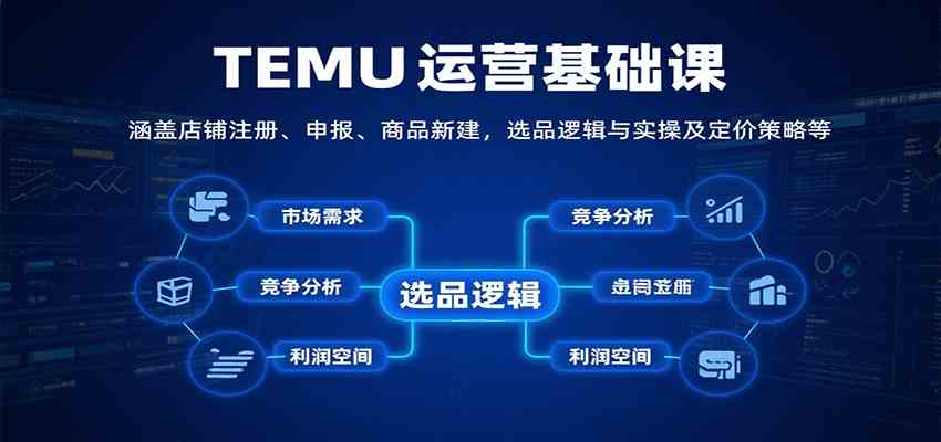 TEMU运营基础课：涵盖店铺注册、申报、商品新建，选品逻辑与实操及定价策略等-3YVIP资源库