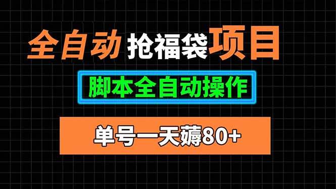 （15697期）全自动抢福袋项目，单号一天80+脚本全自动操作-3YVIP资源库