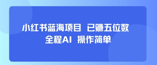 小红书蓝海项目，全程AI，操作简单，已挣五位数-3YVIP资源库