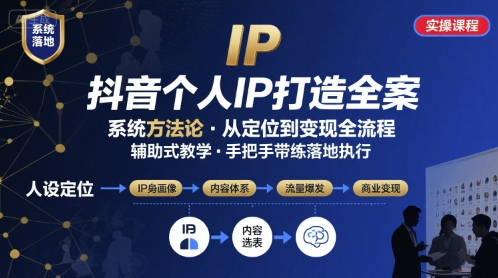 抖音个人IP系统落地实操大课，实操课程，辅助落地-3YVIP资源库