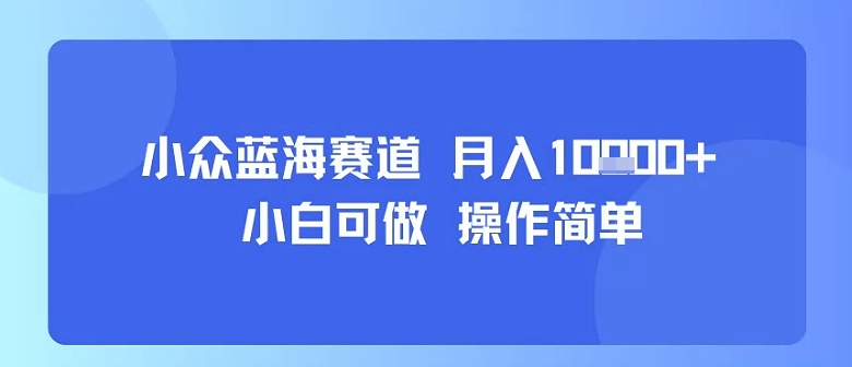 小众蓝海赛道，小白可做，操作简单，每天30分钟，月入1W+-3YVIP资源库