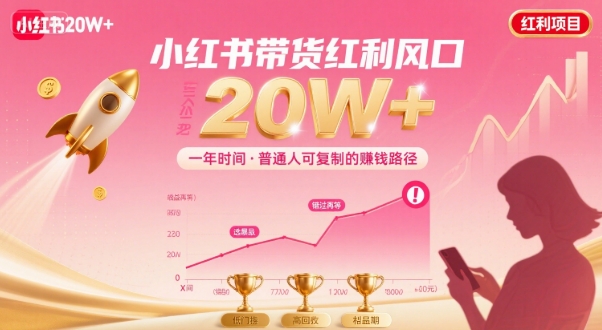 一年时间靠小红书带货项目年入20w+，最不能错的大红利项目-3YVIP资源库