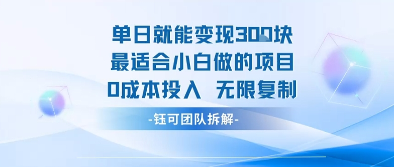 单日就能变现3张最适合小白做的项目0成本投入 无限复制-3YVIP资源库