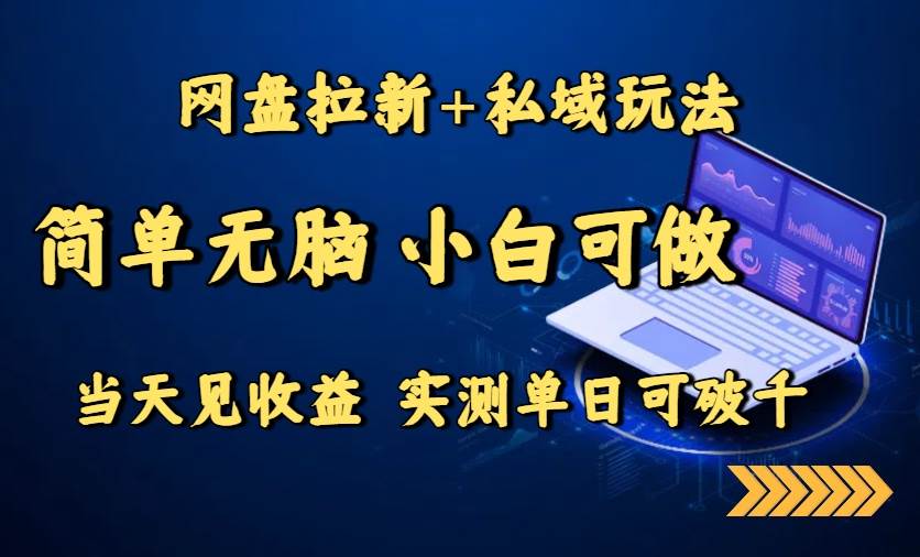 （15744期）网盘拉新+私域玩法，简单无脑，小白可做，当天见收益，实测单日可破千-3YVIP资源库