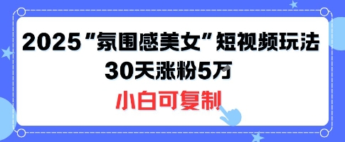 不露脸也能火！2025“氛围感美女”短视频玩法，30天涨粉5W小白可复制-3YVIP资源库