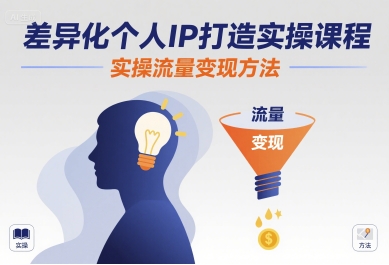差异化个人IP打造实操课程，实操流量变现方法-3YVIP资源库