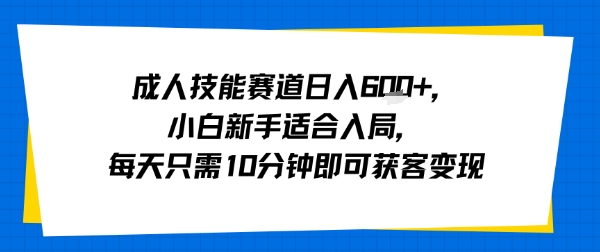 成人技能赛道日入多张，小白新手适合入局，每天只需10分钟即可获客变现-3YVIP资源库