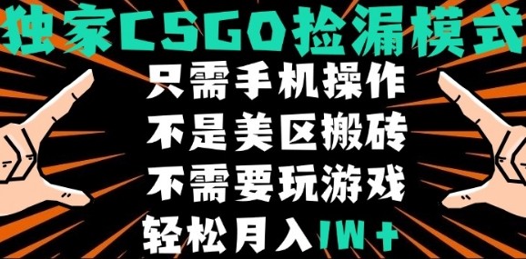 CSGO自动捡漏项目，最新独家玩法，不是美区搬砖，不需要了解和玩游戏，新手小白轻松月入1W+【揭秘】-3YVIP资源库