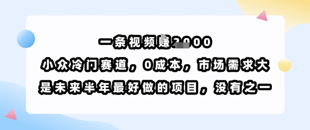 一条视频挣1k，小众冷门赛道，0成本，市场需求大，是未来半年最好做的项目，没有之一-3YVIP资源库