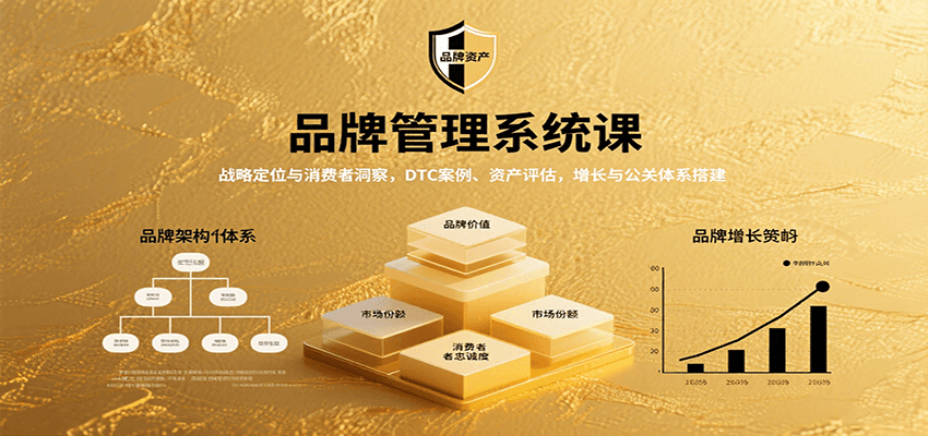 品牌管理系统课：战略定位与消费者洞察，DTC案例、资产评估，增长与公关体系搭建-3YVIP资源库