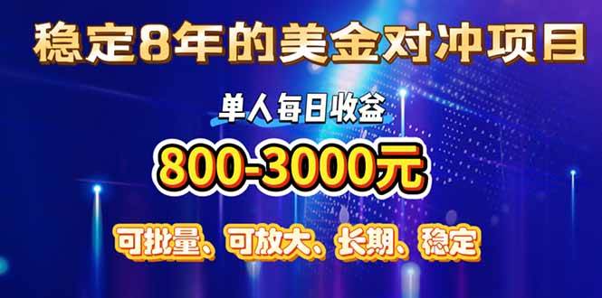 （15782期）稳定8年的美金对冲创业项目，单人每日收益800-3000，小众暴力项目-3YVIP资源库