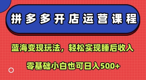 拼多多开店运营课程：蓝海变现玩法，轻松实现睡后收入，零基础小白也可日入5张-3YVIP资源库