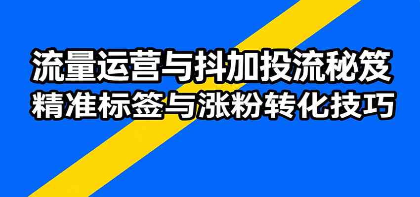 流量运营与抖加投流秘笈，含算法解析、爆款打造、精准标签与涨粉转化技巧-3YVIP资源库