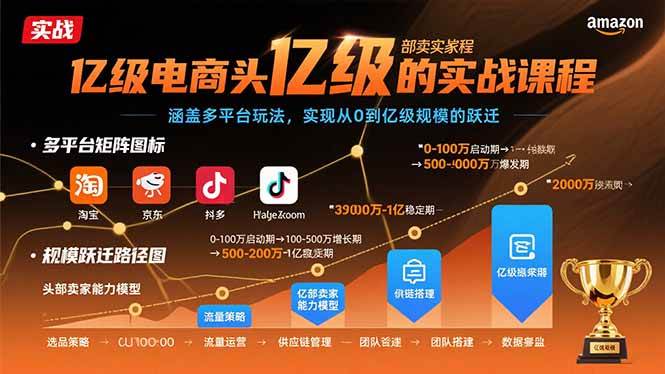 （15803期）亿级电商头部卖家的实战课程：涵盖多平台玩法，实现从0到亿级规模的跃迁-3YVIP资源库
