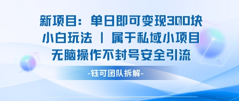 新项目单日即可变现3张的小白玩法无脑操作不封号安全引流-3YVIP资源库