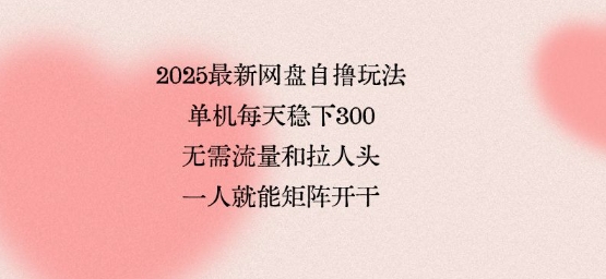 2025最新网盘自撸玩法，单机每天稳下3张，无需流量和拉人头，一个人就可轻松矩阵，全网独一份【揭秘】-3YVIP资源库