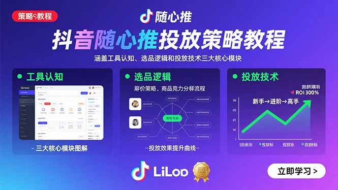（15828期）抖音随心推投放策略教程：涵盖工具认知、选品逻辑和投放技术三大核心模块-3YVIP资源库