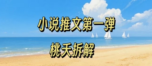 小说推文项目操作全流程第一弹，0粉就能做，门槛低非常适合新手-3YVIP资源库
