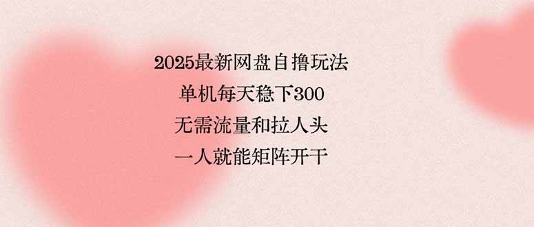 （15831期）2025最新网盘自撸玩法，单机每天稳下3张，无需流量和拉人头，一个人就…-3YVIP资源库
