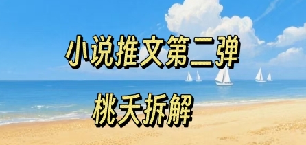 小说推文项目操作全流程第二弹，0粉就能做，门槛低非常适合新手-3YVIP资源库