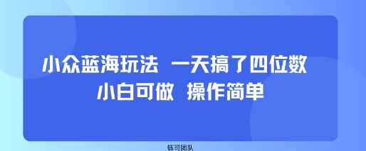 小众蓝海玩法 一天搞了四位数 小白可做 操作简单-3YVIP资源库