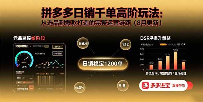 （15850期）拼多多日销千单高阶玩法：从选品到爆款打造的完整运营链路（8月更新）-3YVIP资源库