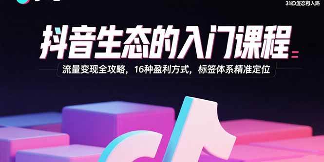 （15856期）抖音生态的入门课程：流量变现全攻略，16种盈利方式，标签体系精准定位-3YVIP资源库