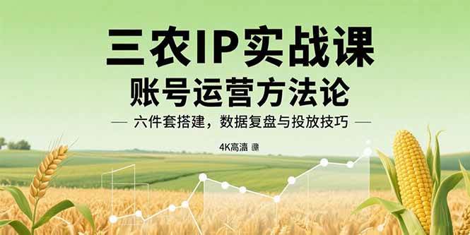 （15864期）三农IP实战课：账号运营方法论，六件套搭建，数据复盘与投放技巧-3YVIP资源库