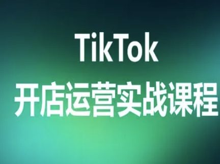 TikTok开店运营实战课程，TK跨境电商实操全流程-3YVIP资源库