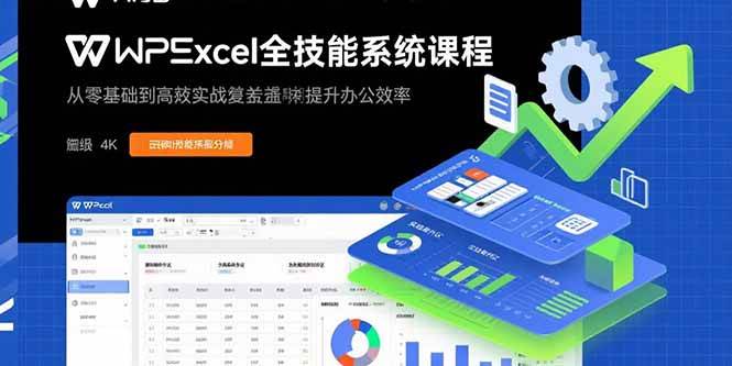 （15873期）WPS Excel全技能系统课程：从零基础到高阶实战全覆盖，全面提升办公效率-3YVIP资源库