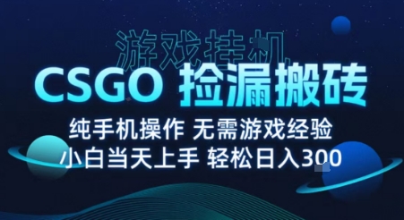 8月最新游戏搬砖，CSGO纯挂G，不需要玩游戏，实现真挂G，月入1W+【揭秘】-3YVIP资源库