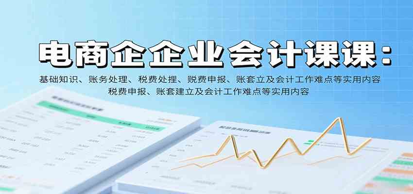 电商企业会计课：基础知识、账务处理、税费申报、账套建立及会计工作难点等实用内容-3YVIP资源库