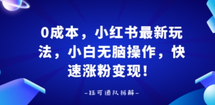 0成本，小红书最新玩法，小白无脑操作，快速涨粉变现-3YVIP资源库