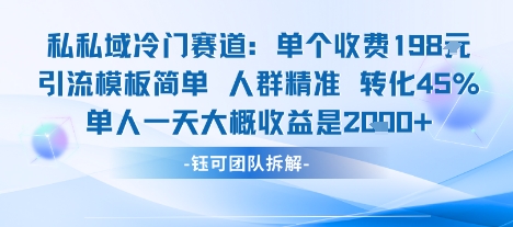 私域冷门赛道单个收费198米引流模板简单人群精准 45%的转化率单人一天大概收益多张-3YVIP资源库
