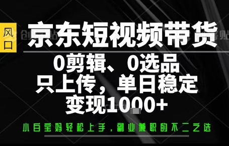 你出账号，我来运营，保底日入1k+，开启躺賺模式【揭秘】-3YVIP资源库