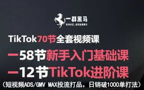 TikTok全套视频课，新手入门+进阶课，短视频ADS-GMV MAX投流打品，日销破1000单打法-3YVIP资源库