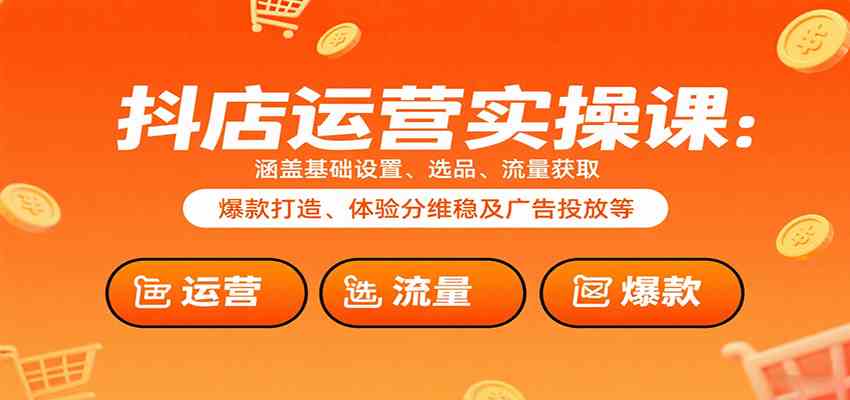 抖店运营实操课：涵盖基础设置、选品、流量获取、爆款打造、体验分维稳及广告投放等-3YVIP资源库