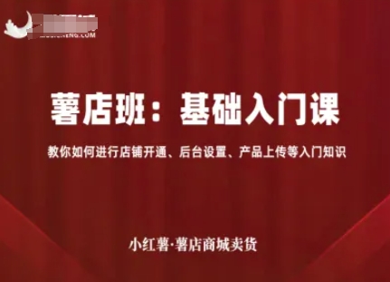 小红薯薯店商城卖货，基础入门课，教你如何进行店铺开通、后台设置、产品上传等入门知识-3YVIP资源库