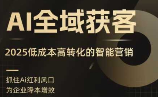 AI全域获客实训营，2025低成本高转化的智能营销，精准找客，高效营销-3YVIP资源库