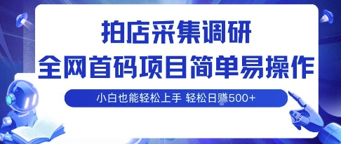 拍店采集调研，全网首码项目，简单易操作， 小白也能轻松上手，多账号操作，轻松日入5张【揭秘】-3YVIP资源库