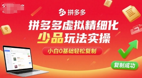 拼多多虚拟精细化少品玩法实操，小白0基础轻松复制-3YVIP资源库