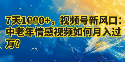 7天收益1k+，视频号新风口：中老年情感视频如何月入过W?-3YVIP资源库