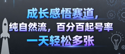 成长感悟赛道，纯自然流，百分百起号率 一天轻松多张-3YVIP资源库