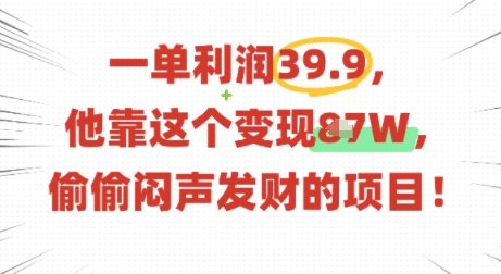 一单利润39.9，有人靠这个变现几十个，偷偷闷声发财的项目-3YVIP资源库