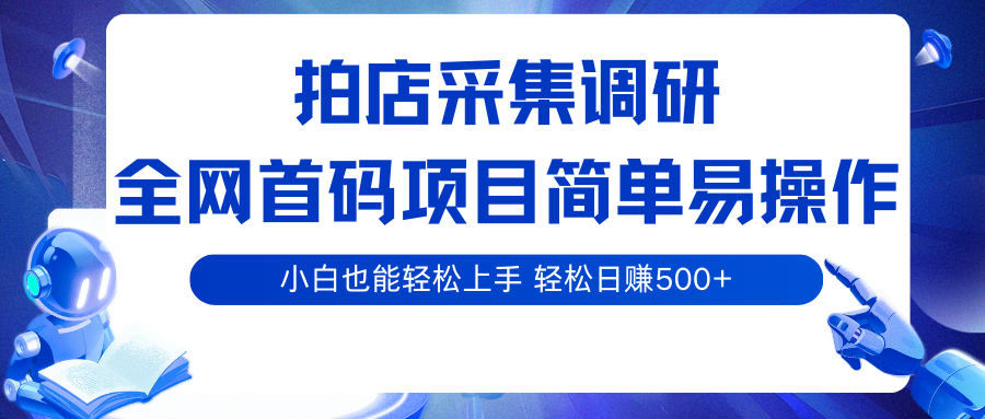 拍店采集调研，全网首码项目，简单易操作， 小白也能轻松上手，轻松日赚500+-3YVIP资源库