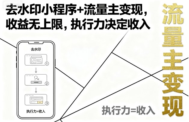 去水印小程序+流量主变现，收益无上限，执行力决定收入-3YVIP资源库