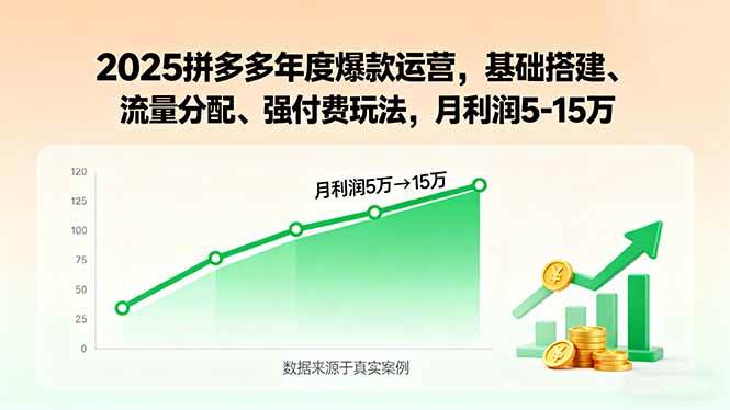 （15973期）2025拼多多年度爆款运营，基础搭建、流量分配、强付费玩法，月利润5-15万-3YVIP资源库