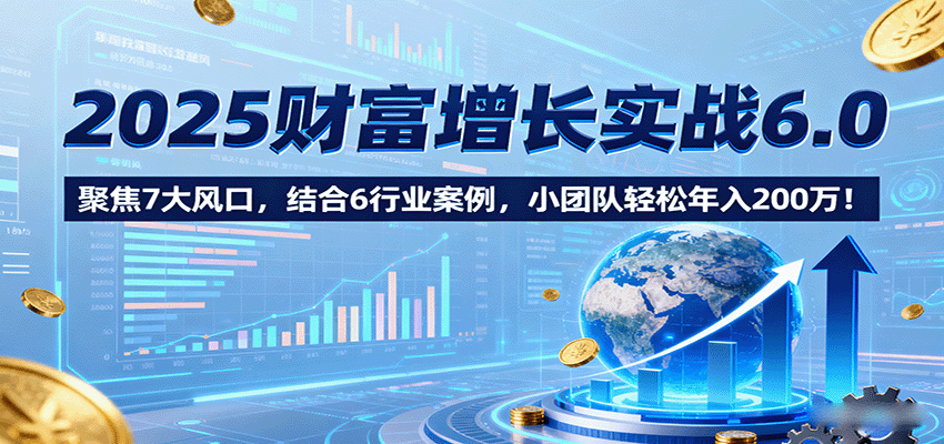 2025财富增长实战6.0，聚焦7大风口，结合6行业案例，小团队轻松年入200万！-3YVIP资源库