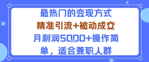 小众赛道玩法：当下最热门的变现方式，精准引流+被动成交月利润5k+操作简单，适合兼职人群-3YVIP资源库