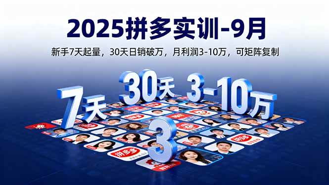 （16008期）2025拼多多实训-9月：新手7天起量,30天日销破万,月利润3-10万,可矩阵复制-3YVIP资源库